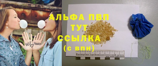 крисы Баксан