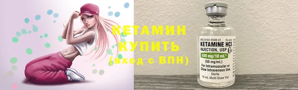 крисы Баксан