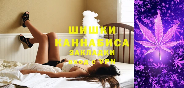Альфа ПВП Новозыбков