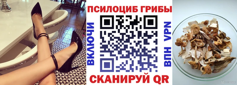 omg как войти  Соликамск  Псилоцибиновые грибы мухоморы  где можно купить наркотик 